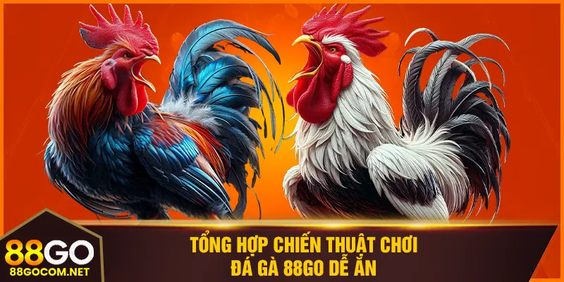 Tổng hợp chiến thuật chơi đá gà 88GO dễ ăn
