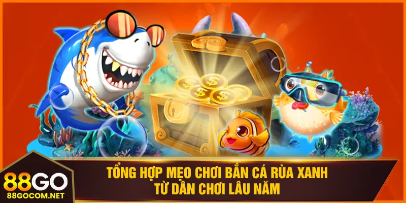 Tổng hợp mẹo chơi bắn cá rùa xanh từ dân chơi