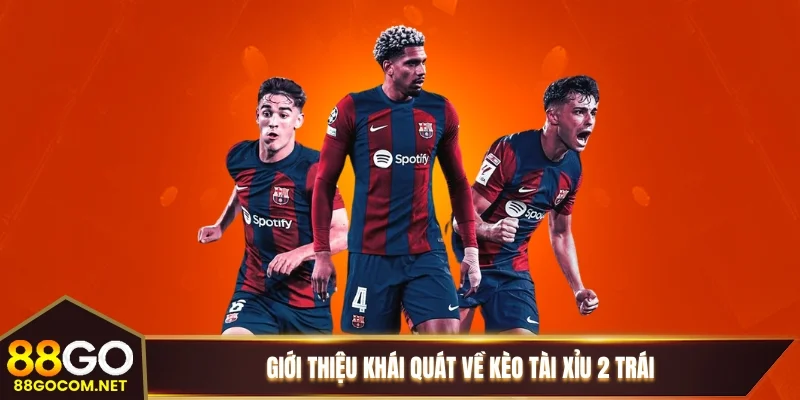 Giới thiệu khái quát về kèo tài xỉu 2 trái